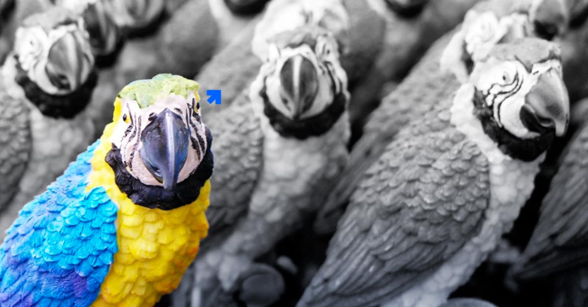 Estratégias de marketing