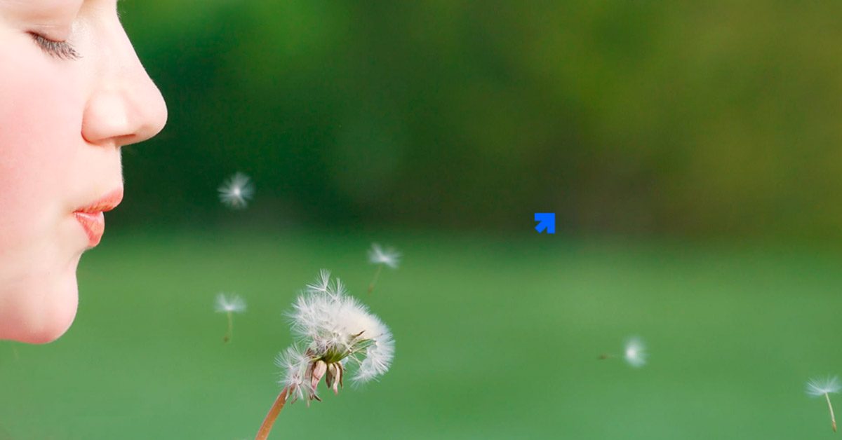 Marketing Boca a Boca